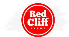 Los Ojitos Logo